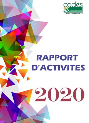 Image rapport activités 2020