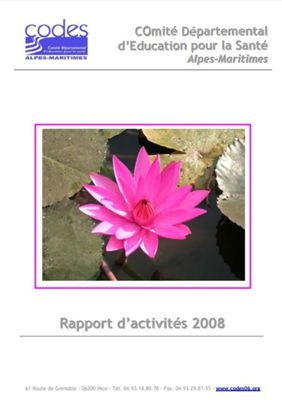 Image rapport activités 2008